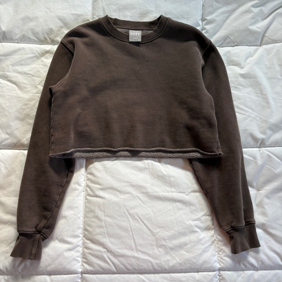 Aritzia Tops - Brown Aritzia TNA Crewneck